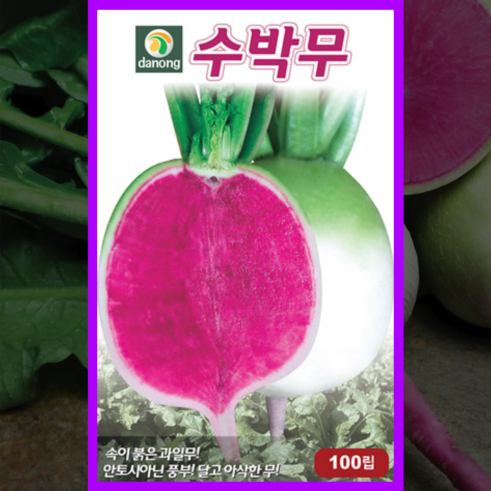 수박무씨앗 100립 수박무씨 종자심기 무우 파종재배 : 모두의가든