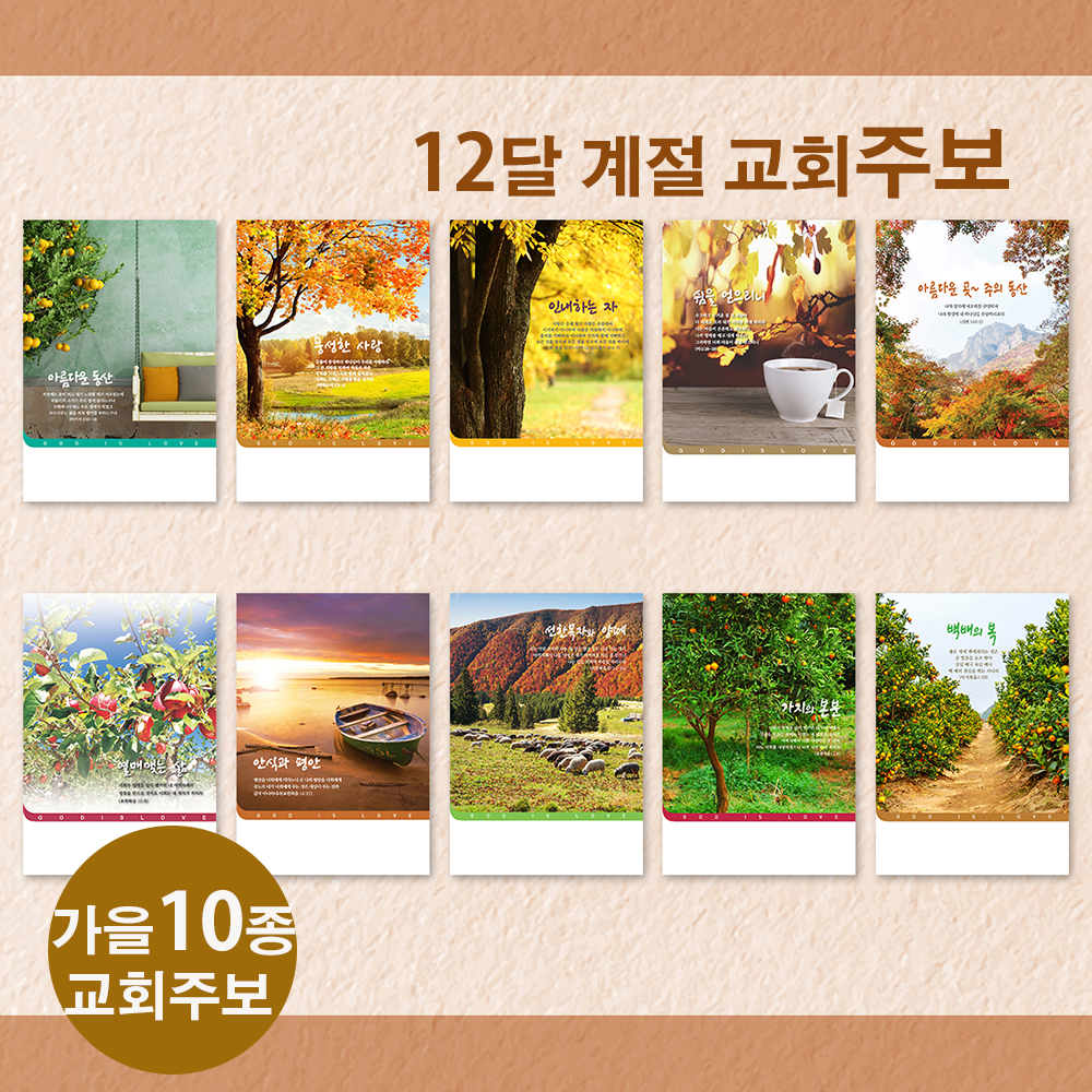 가을 A4주보 10종 디자인주보 예쁜 칼라복사지 인쇄 제작 : 린지스토어