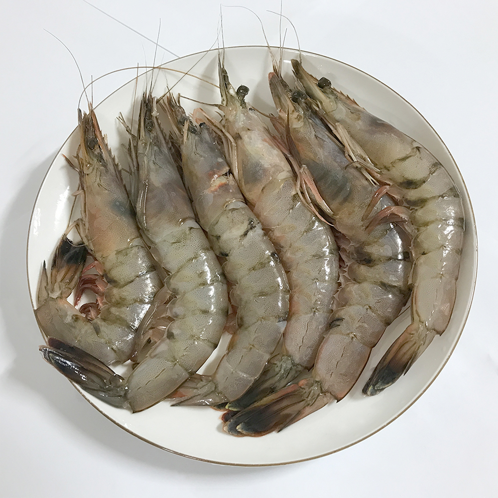 국산 태안 새우 냉동 급냉 신진도 자연산 대하 1kg 2kg : 신진도수산
