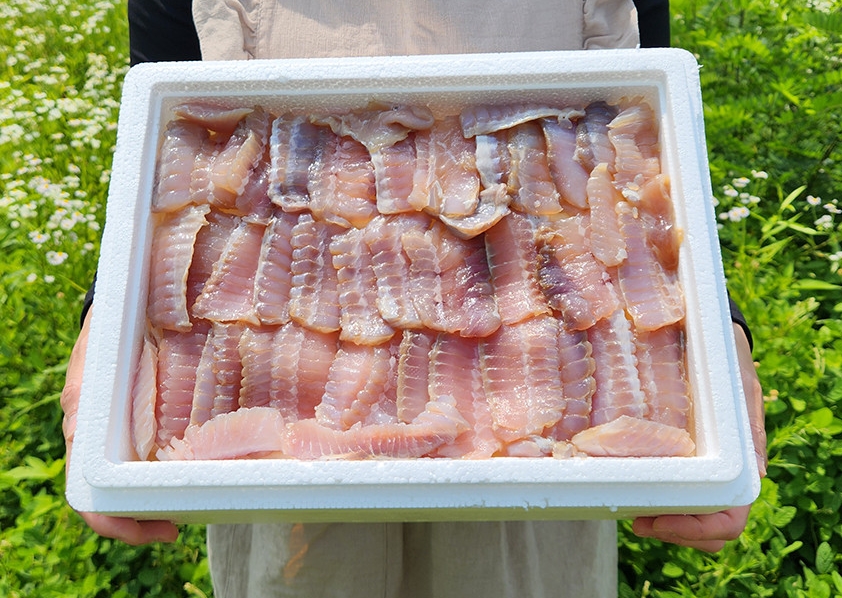 흑산도홍어 국산 홍어 홍어애 삭힌 전라도 목포 삼합 회 250g : 미자네 수산직판장