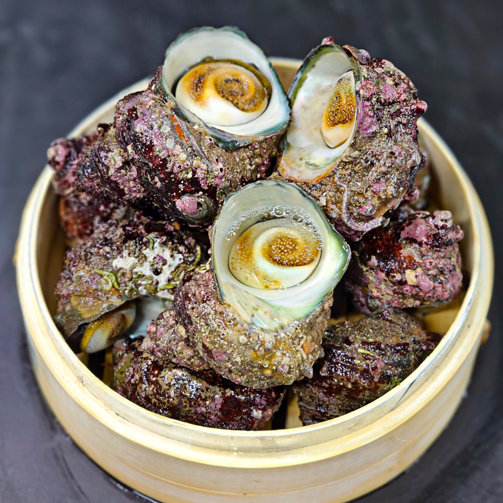 성이수산  동해안 해녀가 직접 채취한 자연산 뿔소라 1kg : 산지직송 성이수산