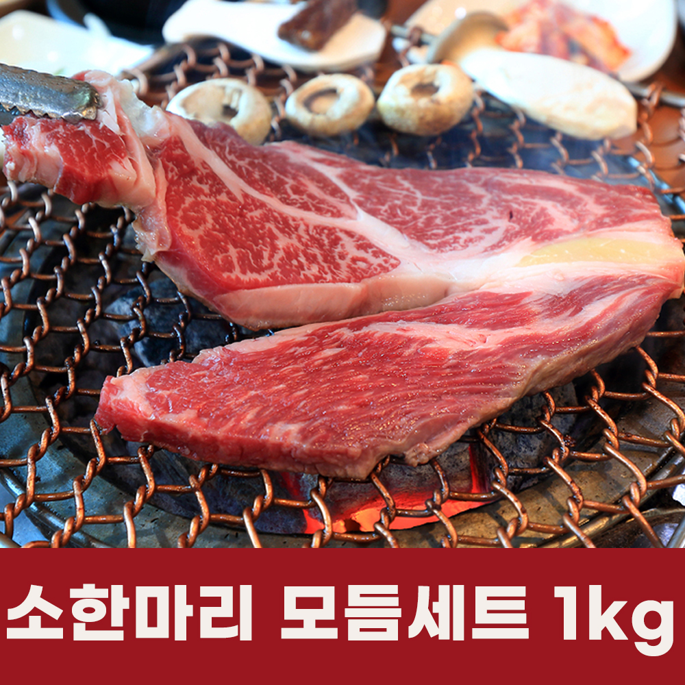 소고기 국내산 1등급 소한마리 모듬세트 4가지 1kg(꽃등심, 갈비살, 채끝살, 살치살) : 총각장터777