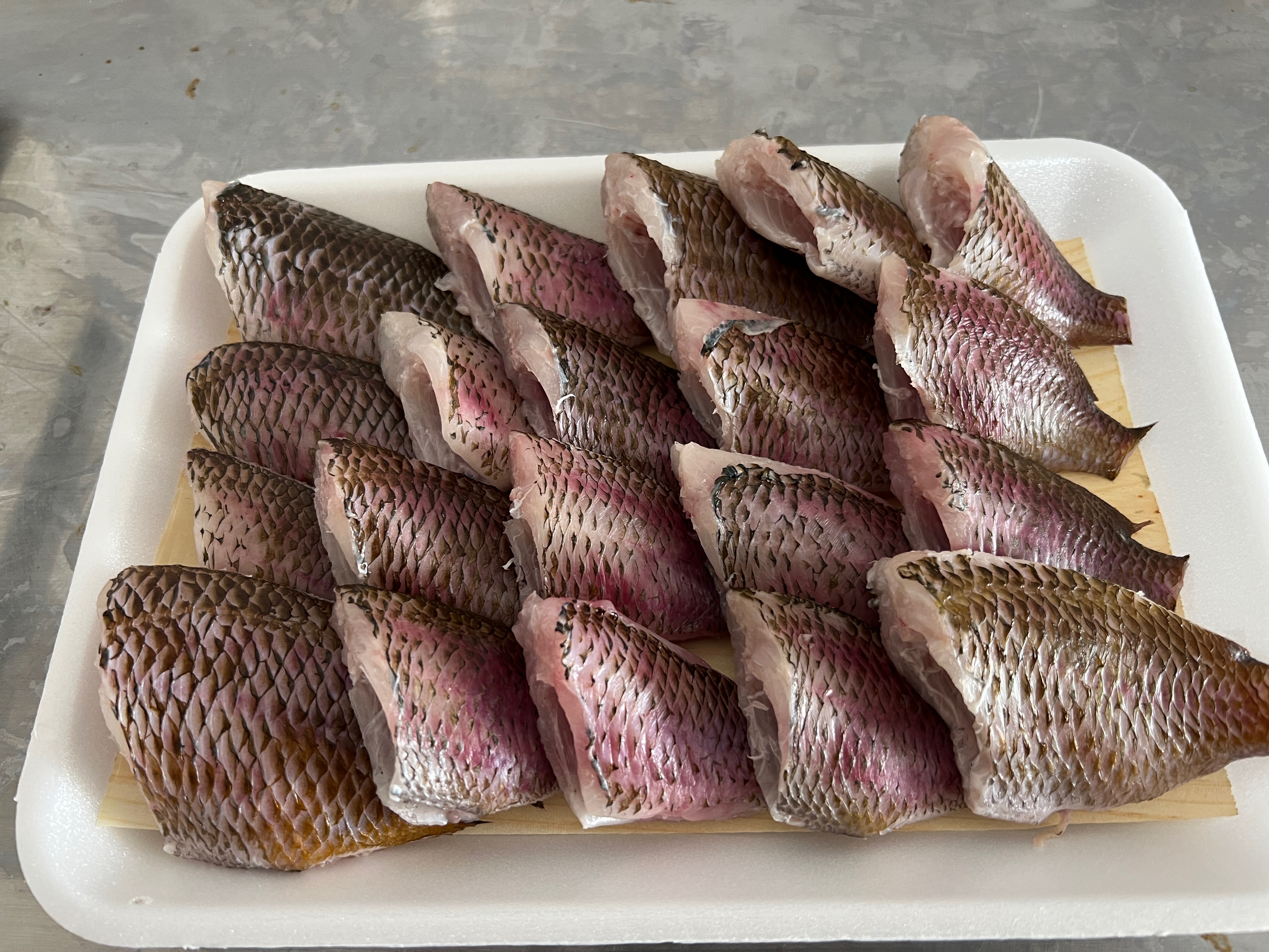 자연산 자리돔 1kg 제철 자리돔회 별미 자리물회 : 통영은정수산