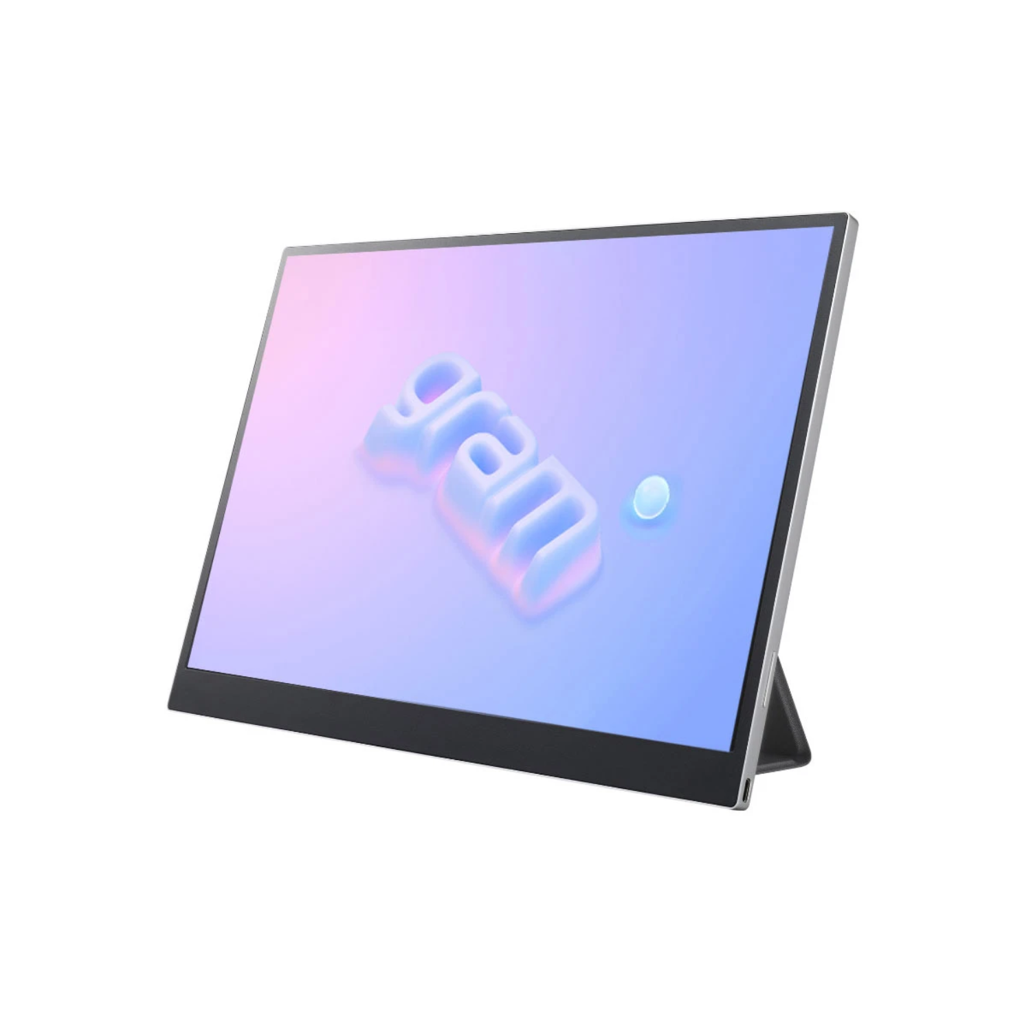 LG 엘지 그램 뷰플러스 포터블 모니터 16MR70 휴대용 USB-C 2세대 노트북 듀얼 : 나홀로 집에