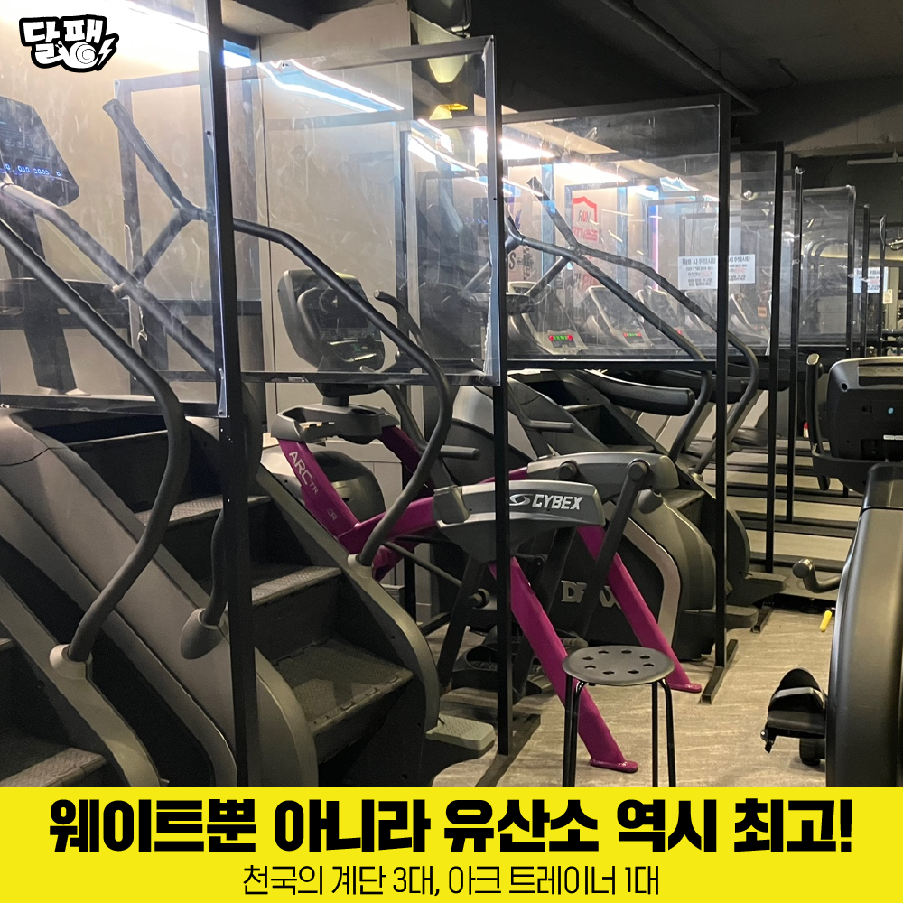 달팽이휘트니스 회원권 : 달팽이휘트니스