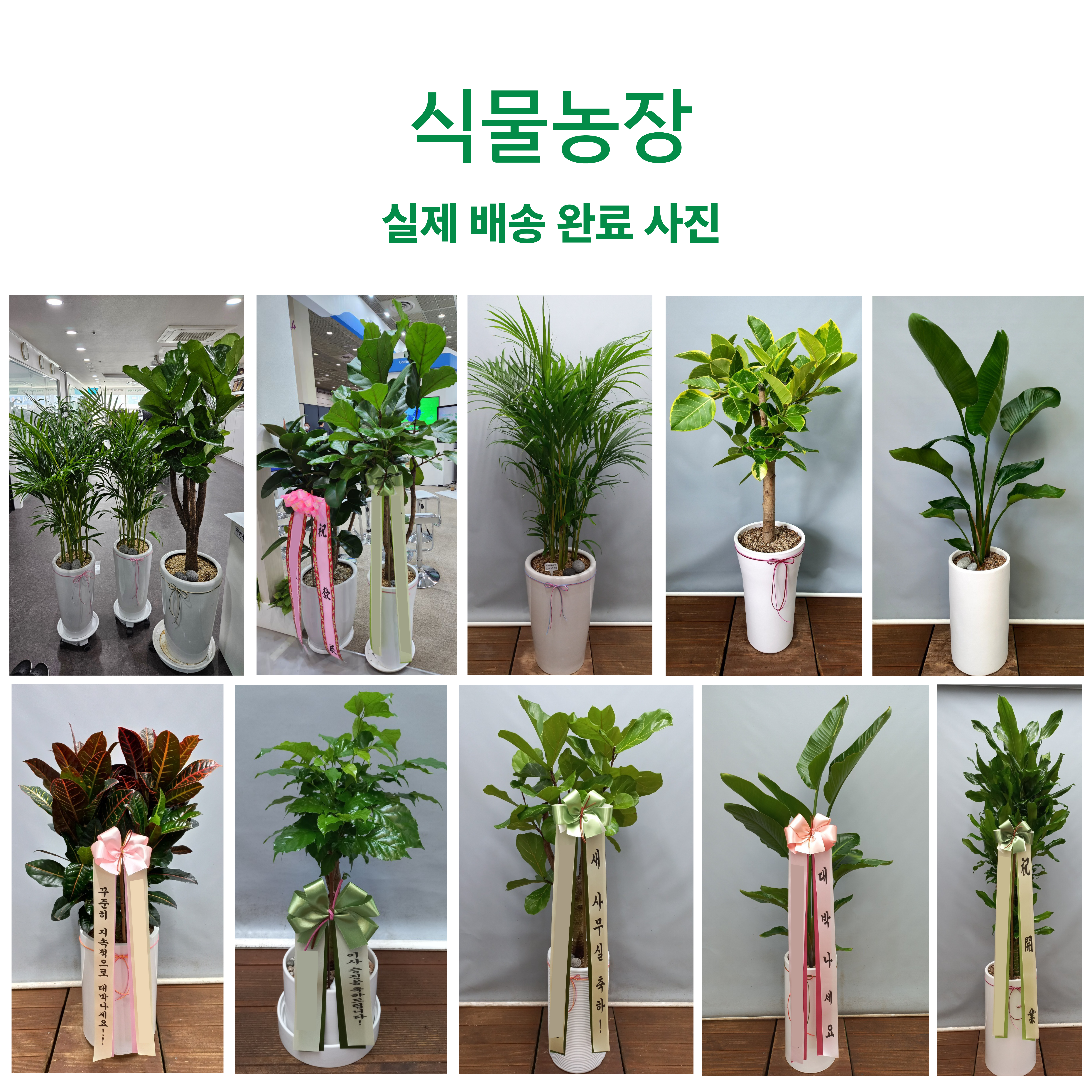 브이아이피장례식장 화환배달 근조 장례식장 : 축하화환 근조화환 개업화분