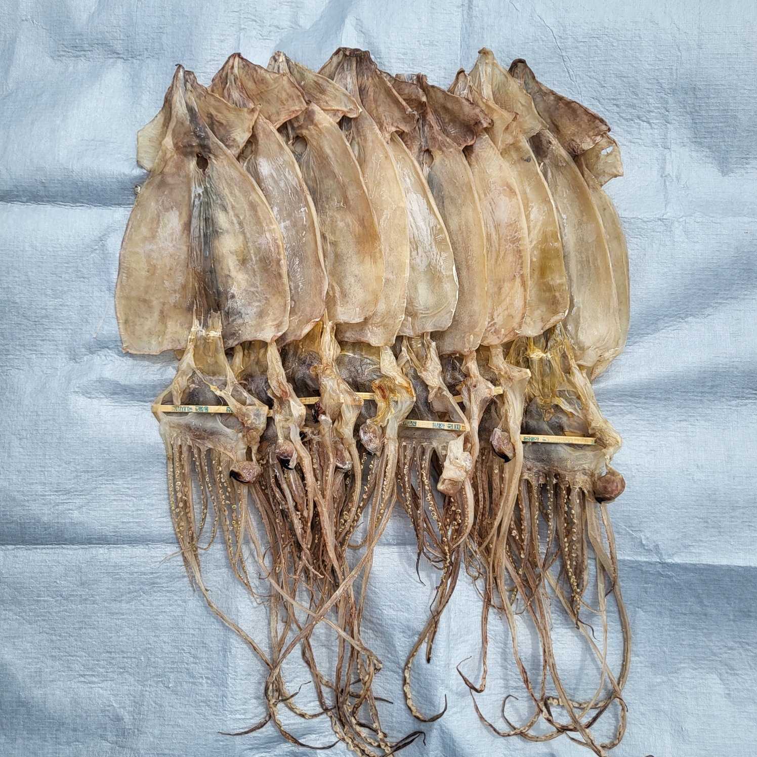 마른오징어 10마리 850g 건오징어 건조오징어 : ONE MARKET