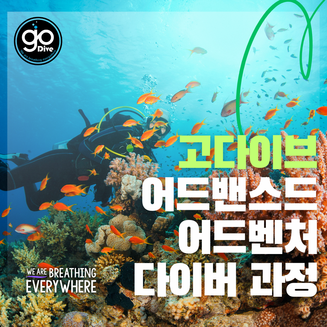 고다이브 SDI 어드밴스드 어드벤처 다이버 자격증 과정 : 고다이브