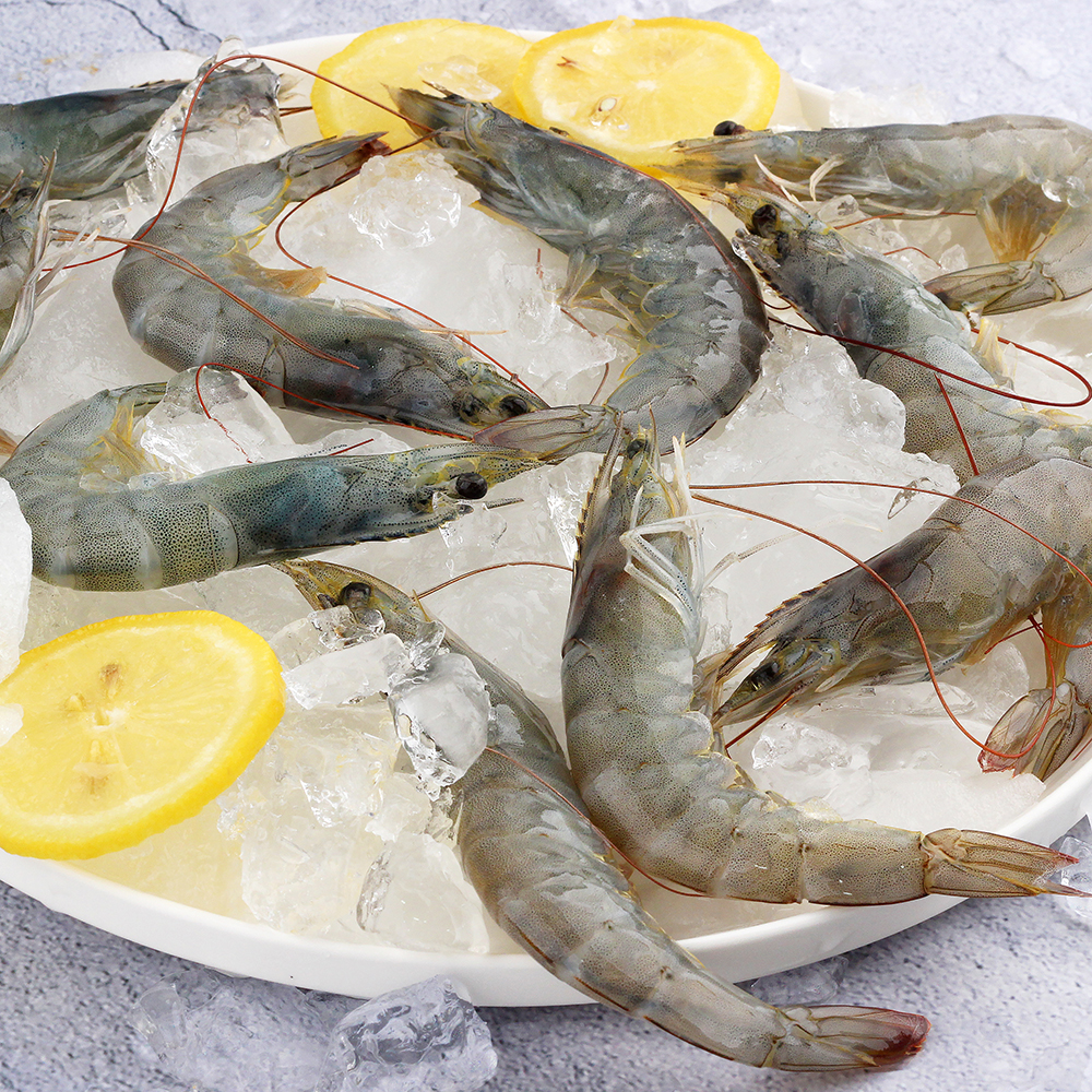 급냉 흰다리새우 2kg 냉동 새우 페루 대하 중하 소금구이 캠핑용 바베큐용 감바스 : 숨비해물