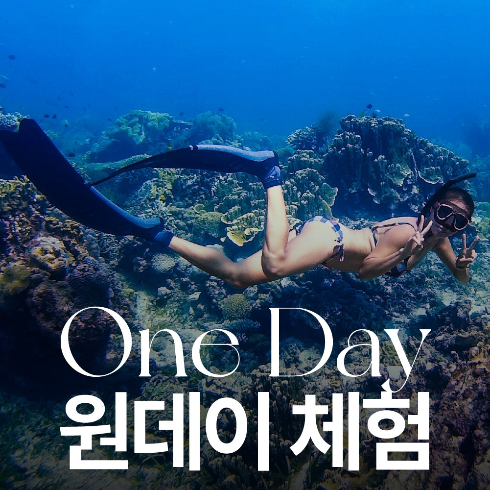제주 프리다이빙체험[바다체험] : 제주 난바다프리다이브