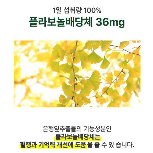 닥터루템 메모리 투모로우 골드 포스파티딜세린 두뇌 건강 영양제 : 리프온리