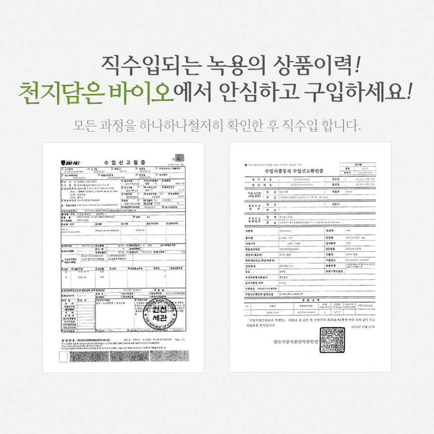 천지담은 바이오 러시아산 녹용 중대75g : 천지담은바이오