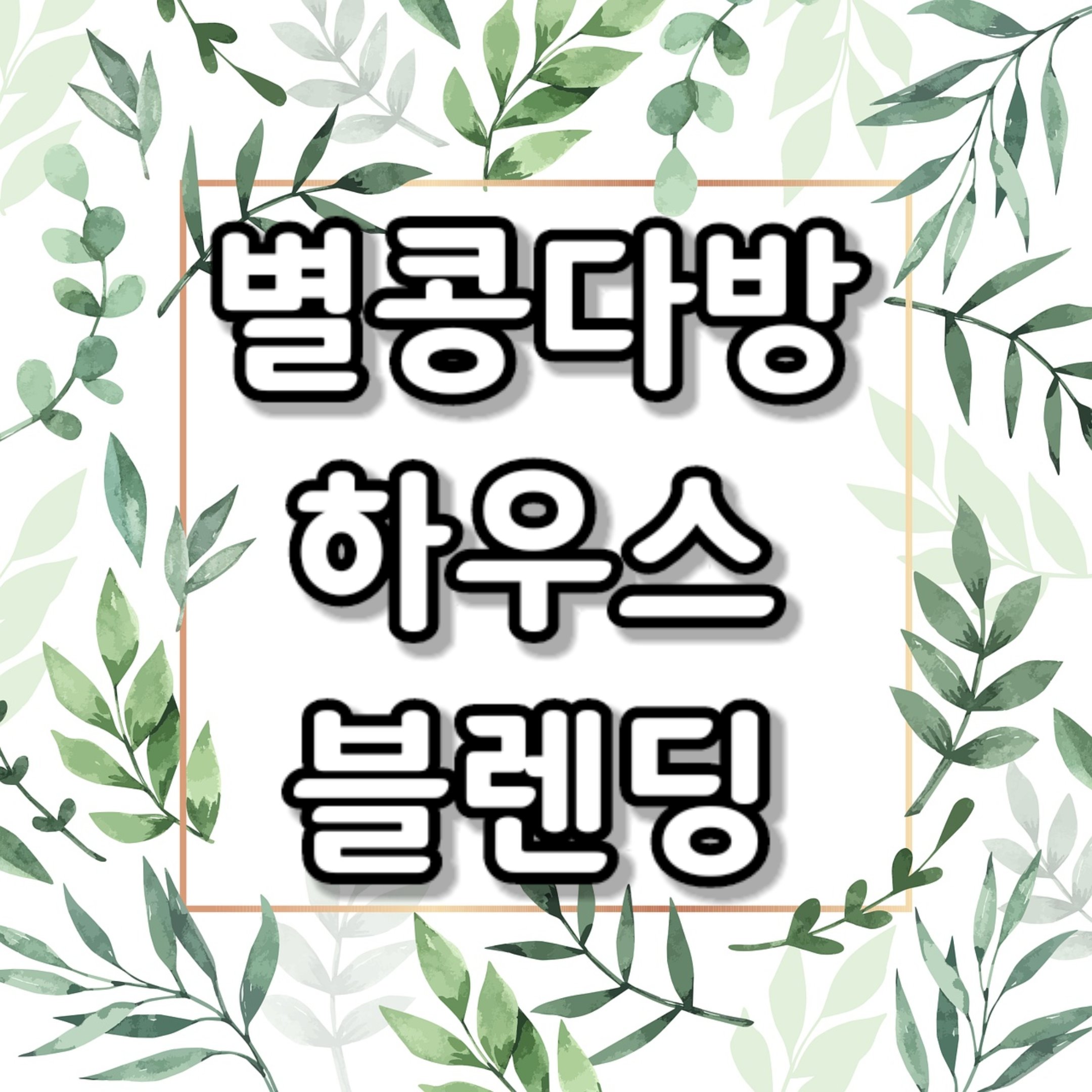 [블렌딩] 별콩다방&커피를말하는남자 하우스 블렌딩 500g : 별콩다방 로스터스