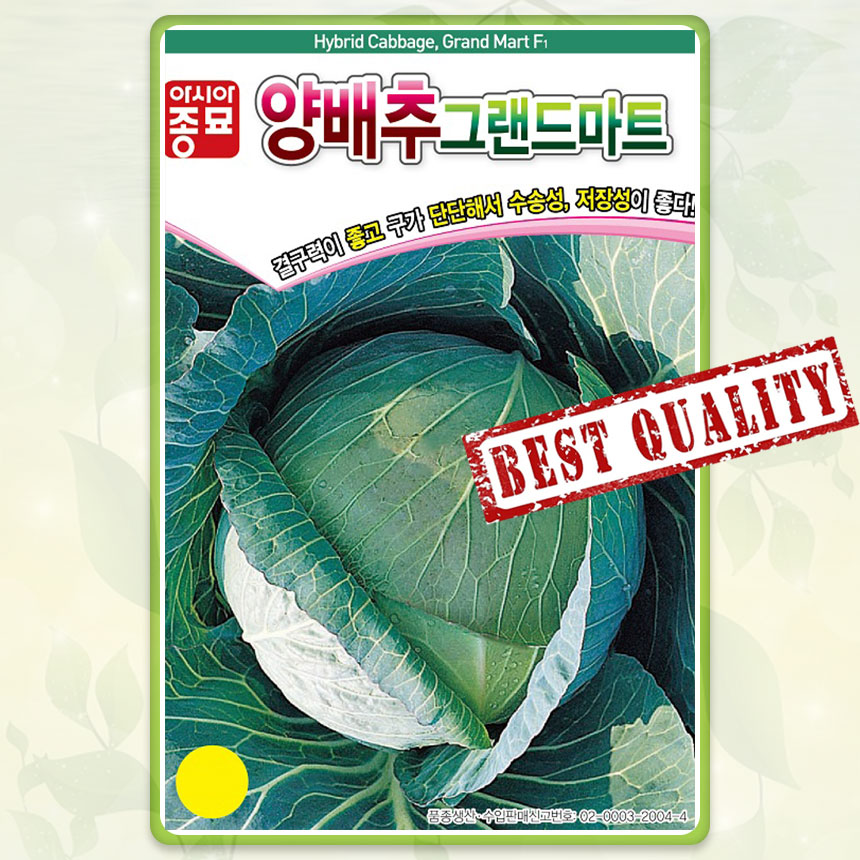 양배추 씨앗 종자 씨 그랜드마트 양배추씨앗 500립 AS : 팜앤리빙