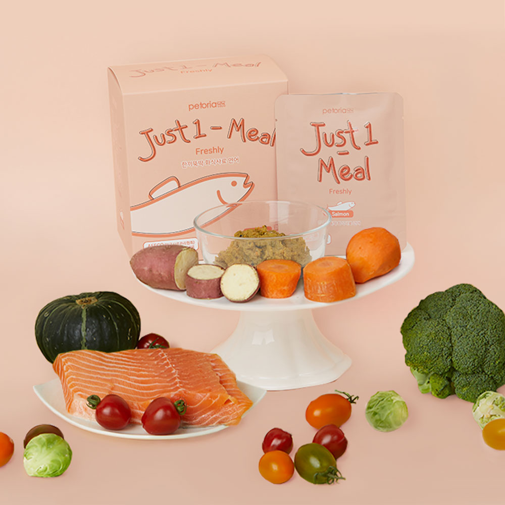 한끼뚝딱 강아지 수제 화식 사료 3종 연어, 80g, 1개 : 펫토리아