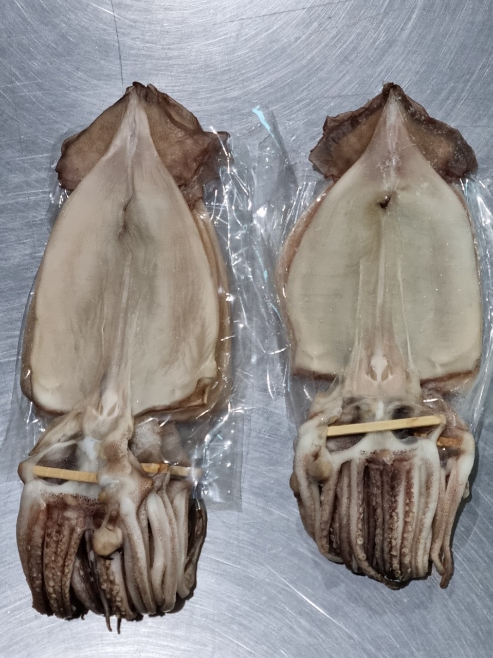 꾸덕한 쫄깃말랑 피데기 반건조 오징어 10마리 : 통영은정수산