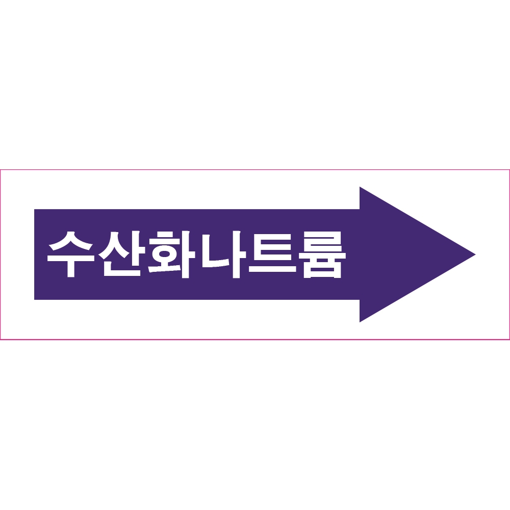 위치표시 수산화나트륨 우방향 150x50배관 소방 스티커 : 에덴티엠 스토어
