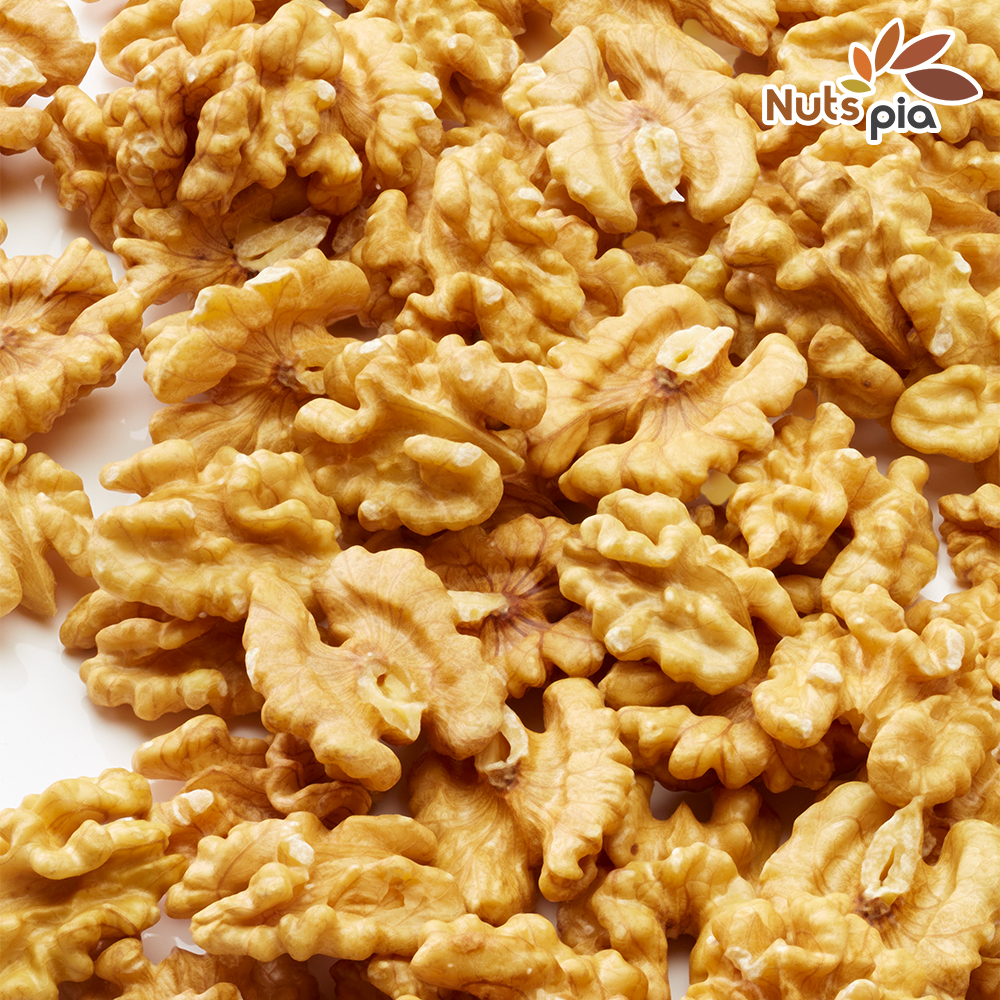 넛츠피아 견과류 500g 소용량 대용량 너츠 : 넛츠피아