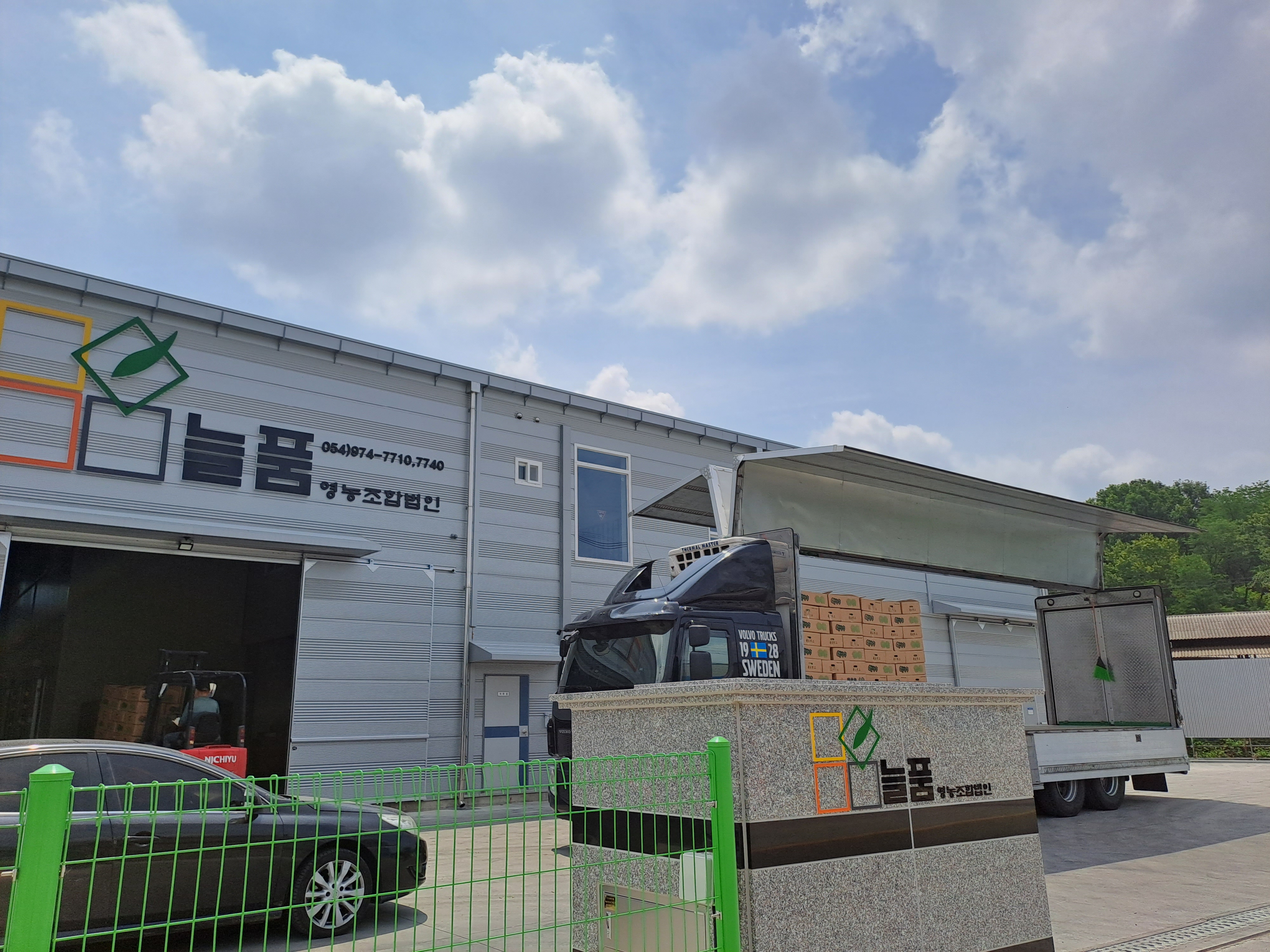 Green one 양상추 3통 : 늘품영농조합법인