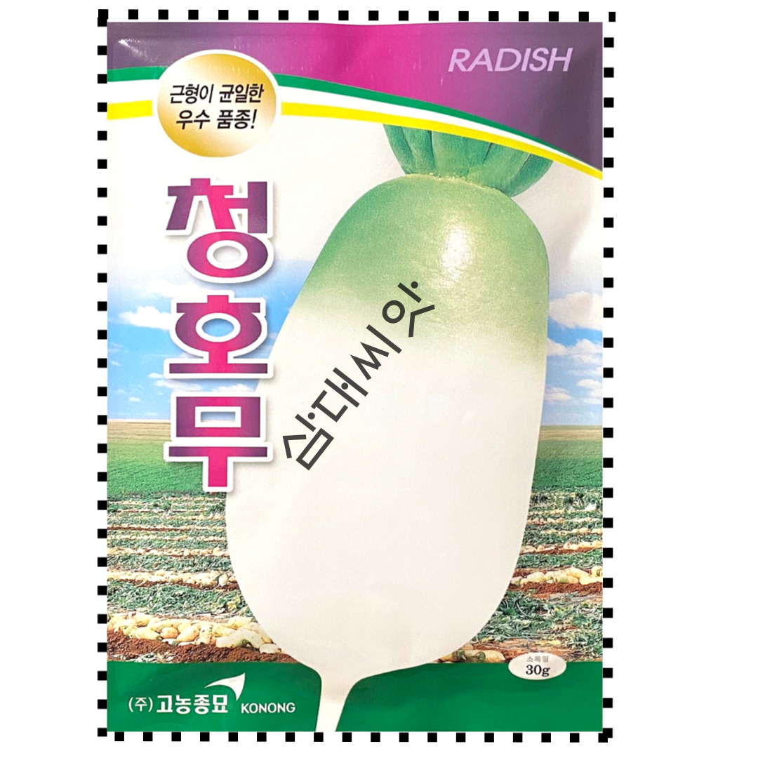 가을 무 씨앗 김장 무우 씨 청호무 종자 30g : 삼대씨앗