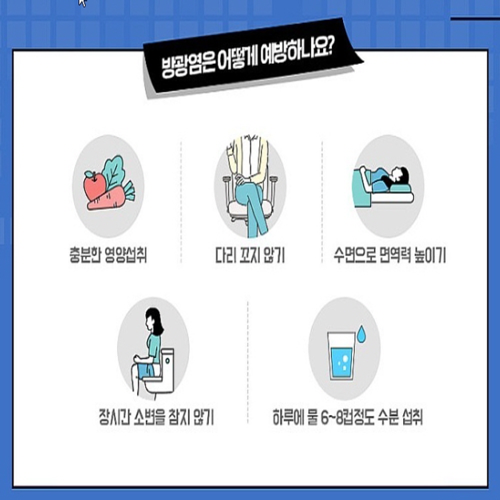 호장근 쏘피야 : 샤론스톤지샾