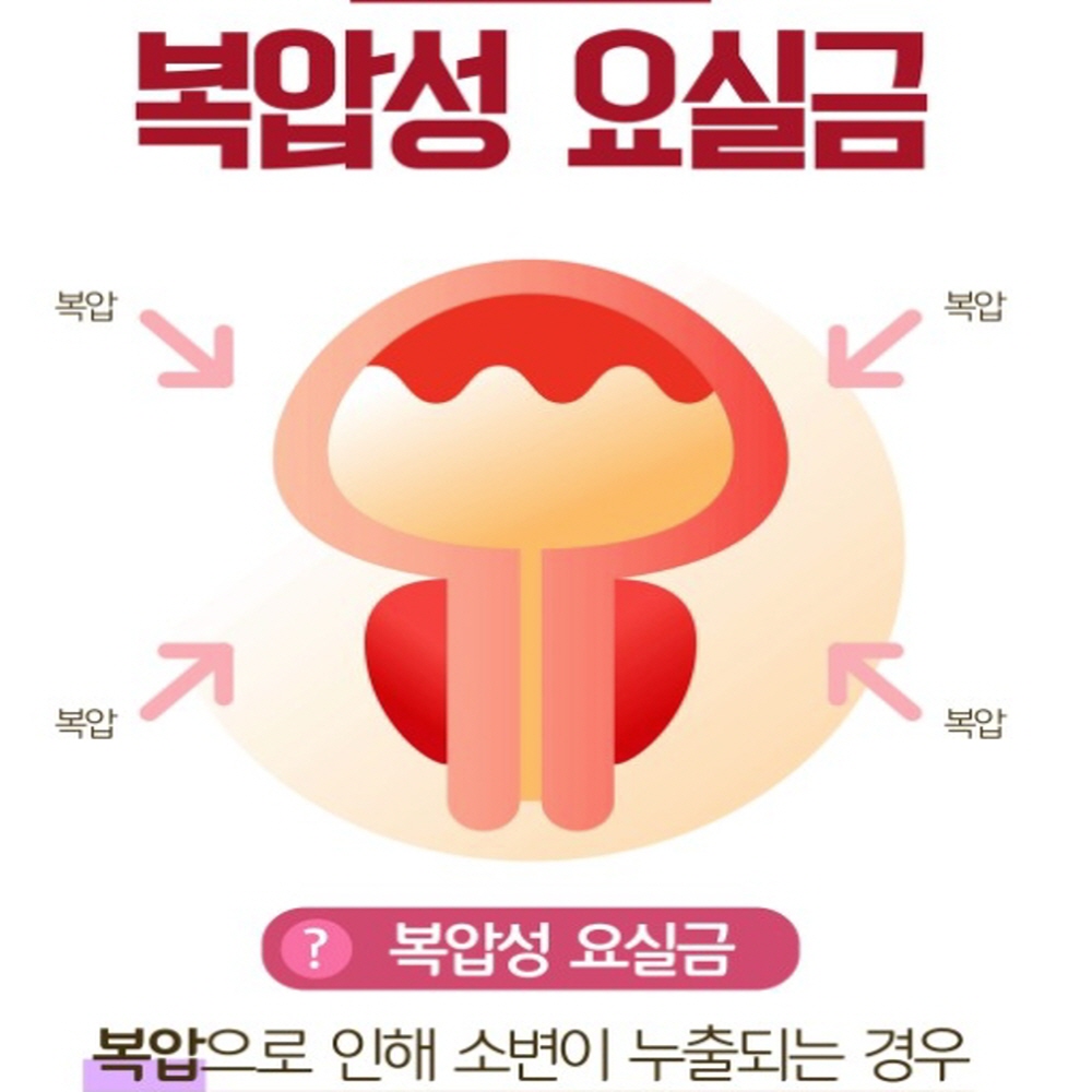 호장근 쏘피야 : 샤론스톤지샾