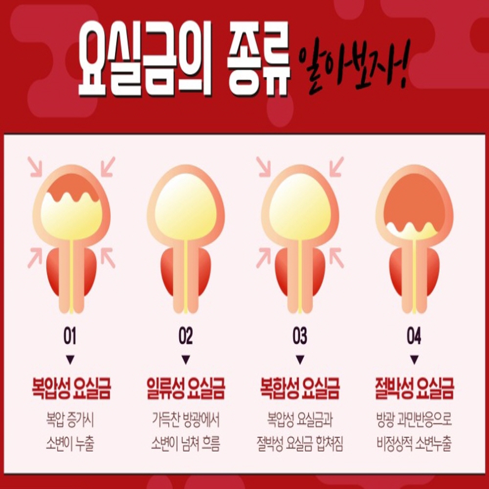 호장근 쏘피야 : 샤론스톤지샾