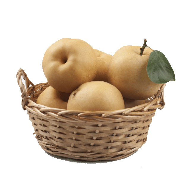 프리미엄 명품 나주배(신고)정품 선물용/가정용 5kg,7.5kg,15kg : 장봐주는청년