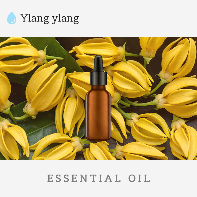 일랑일랑E.O 10ml : 네이처박스