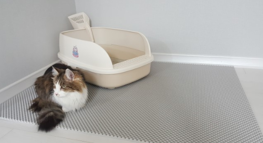 천일 뽈록이 고양이 모래매트 화장실 사막화방지 막힌것 소 : 천일카페트