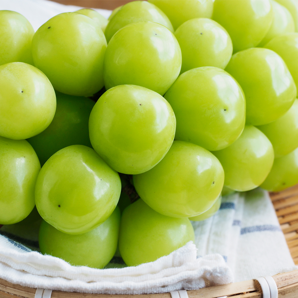 경북 샤인머스캣 고당도 망고포도 1kg 2kg 4kg : 허니유통