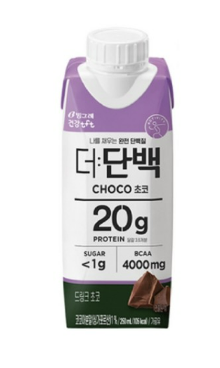 빙그레 더단백 초코맛 250ml 18개입 2박스 : 록산하우스