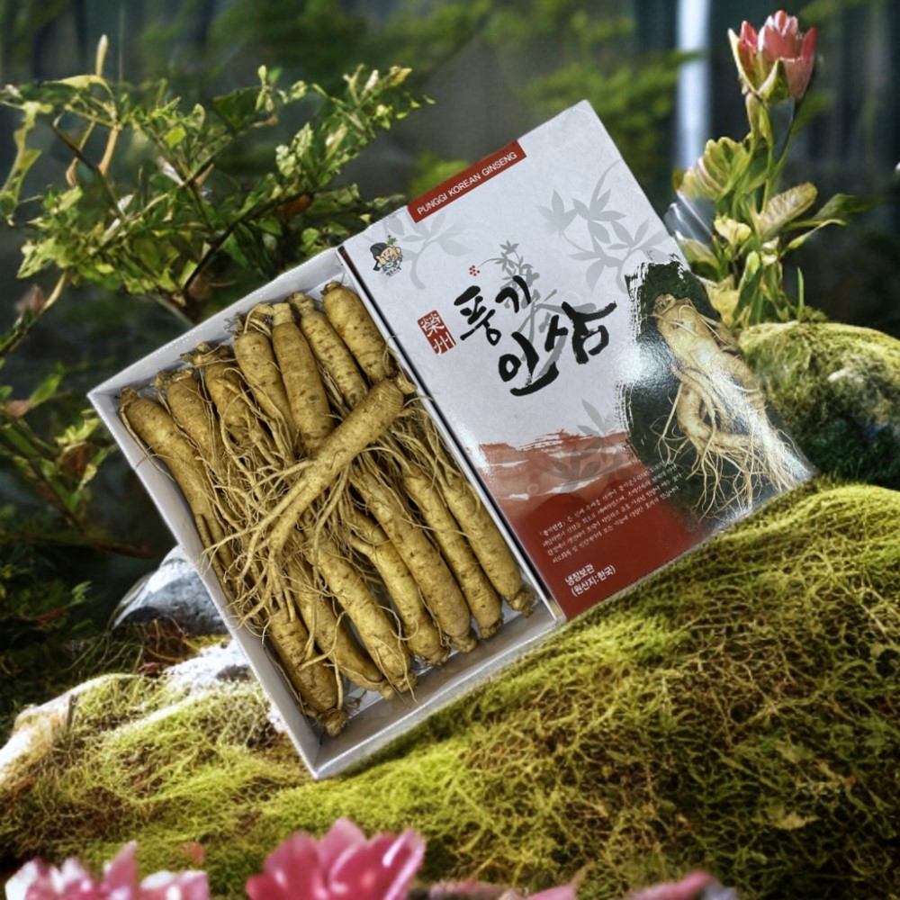6년근 수삼 인삼 15뿌리 풍기인삼 750g : 한보인삼사