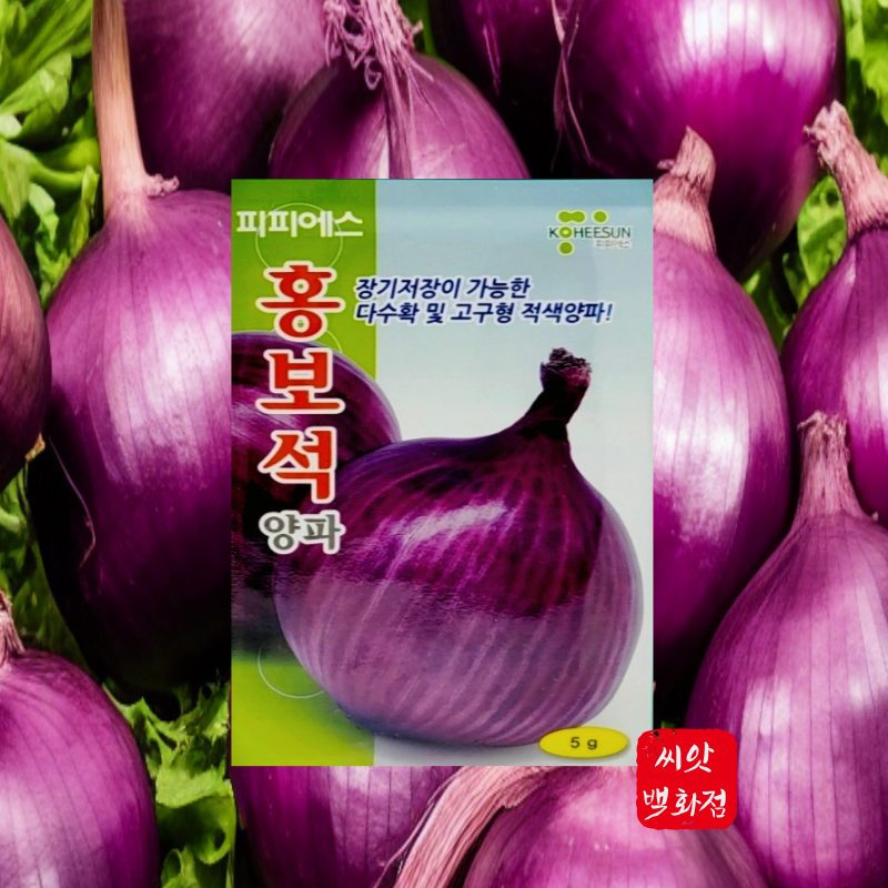 적양파 적양파씨앗 안토시안색소가 충부한 홍보석양파 씨앗 : 씨앗백화점