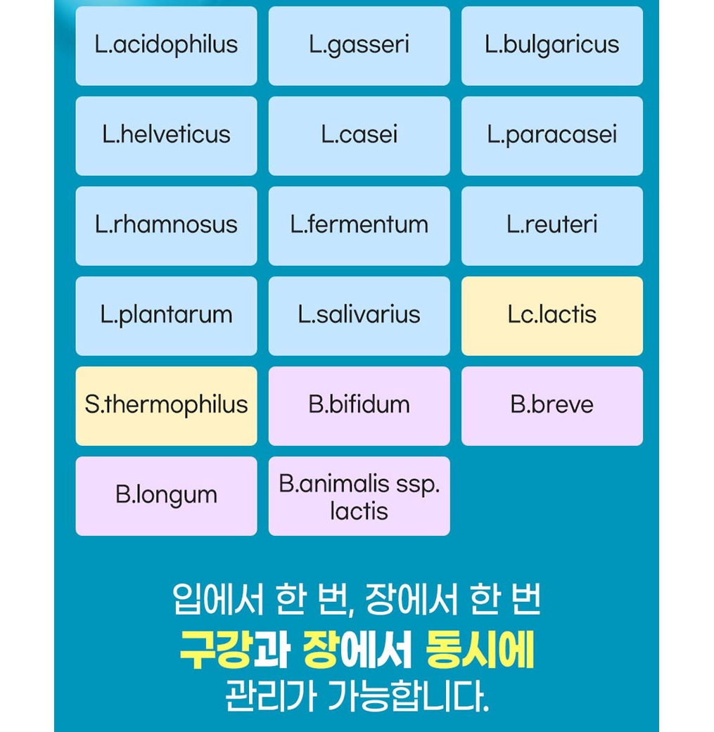내츄럴플러스 프로덴탈 구강유산균 1000mg x 30정 : 에브리킹스몰