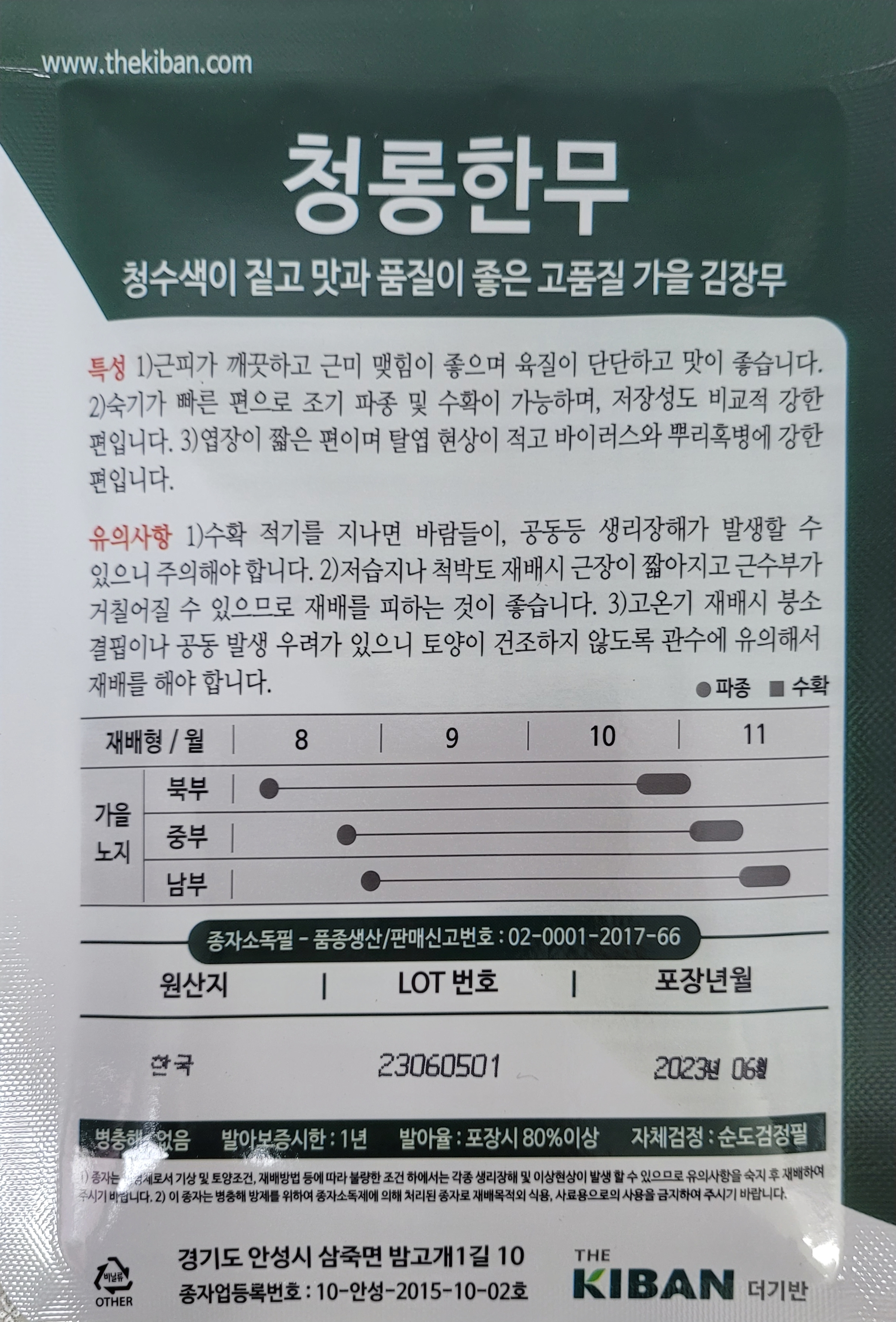 [더기반] 김장무 청롱한 무 씨앗 : 현대농약종묘사
