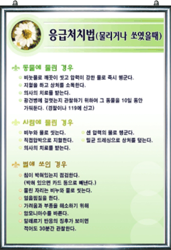 보건교육패널 응급처치법물리거나쏘였을때 행사용액자 학생안전교육 : 스쿨프린트