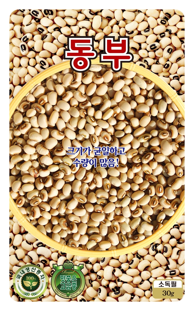 동부콩씨앗 30g 콩씨 씨앗 대장 KS종묘 : 씨앗대장
