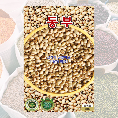 동부콩씨앗 30g 콩씨 씨앗 대장 KS종묘 : 씨앗대장