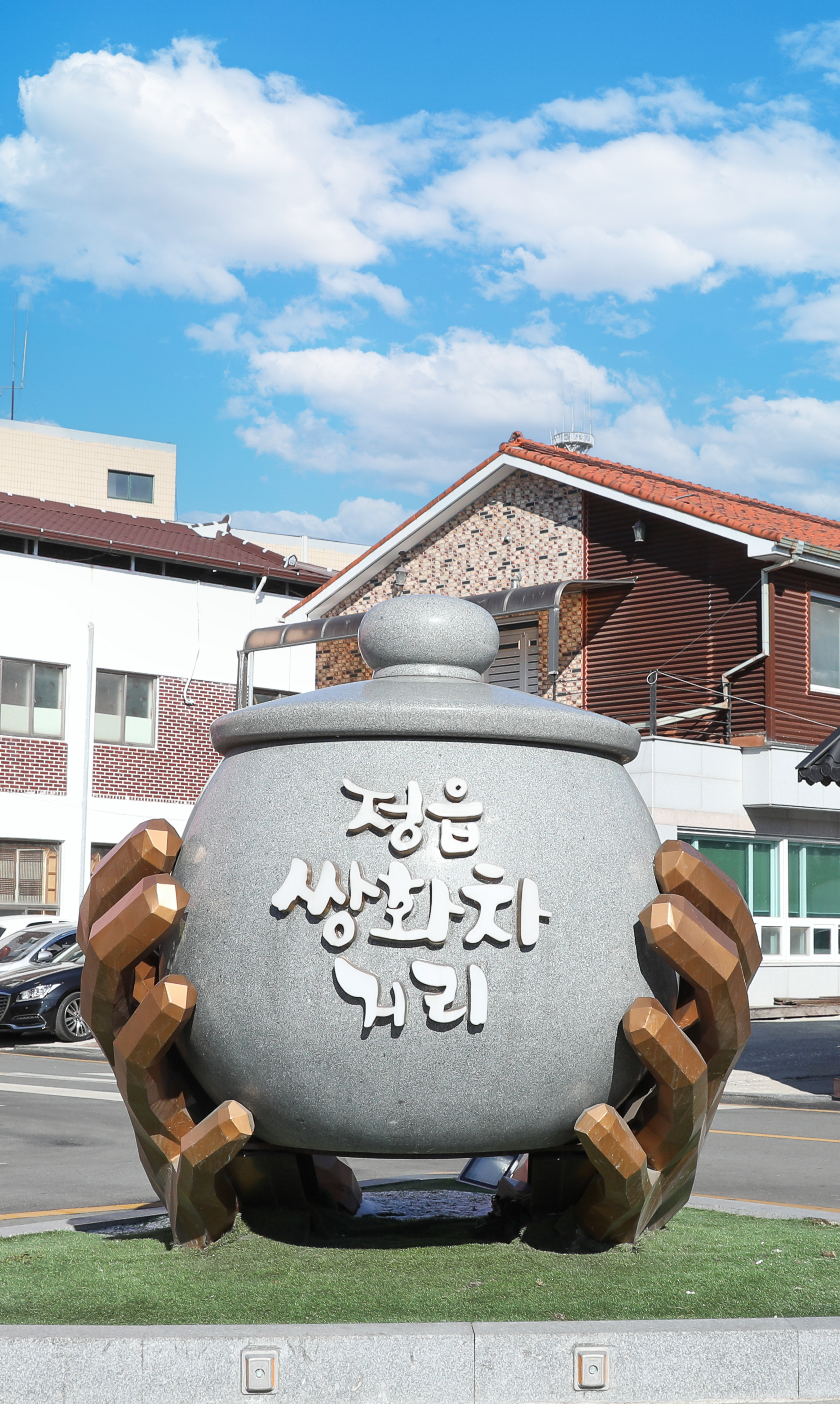 정읍 다선쌍화차 20팩&고명 10팩 세트 가을 환절기 한방차 선물세트 맛집 수제 전통차 약재 : 다선쌍화차