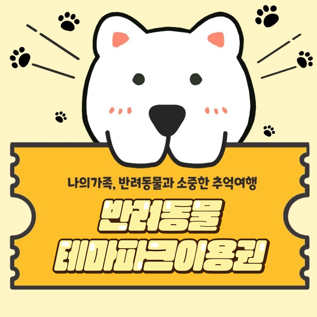 강아지숲네이처풀운동장 강원 애견여행지