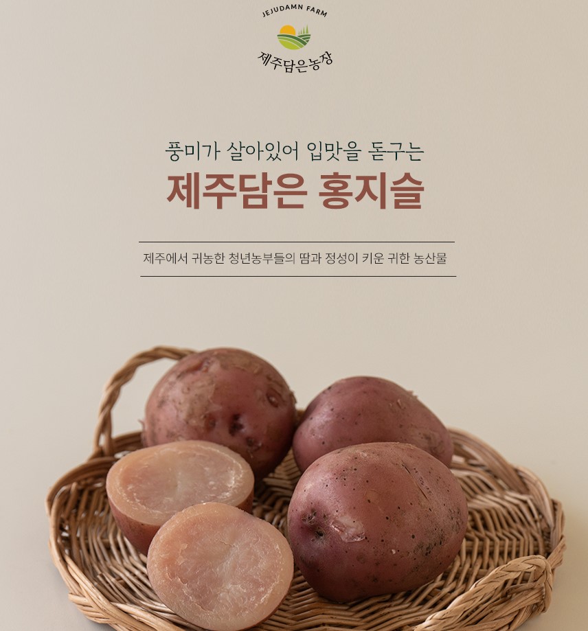 제주담은 홍지슬(홍감자) : 제주담은농장