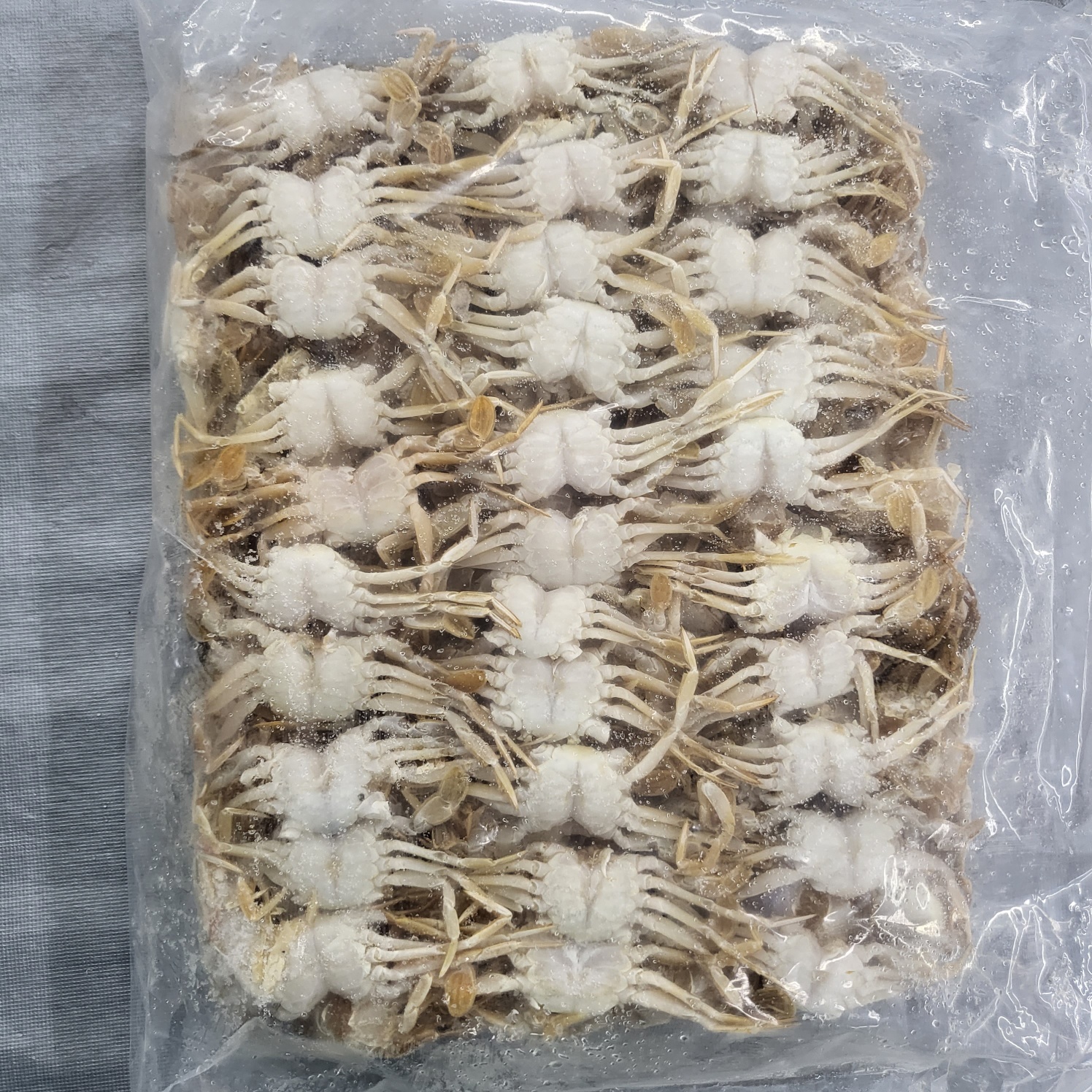 베이비크랩 10kg 냉동 꽃게 업소용 식자재 : 신선씨푸드