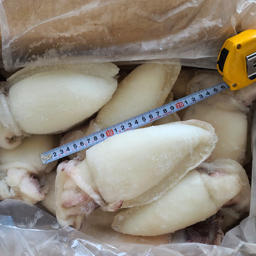 업소용 인도네시아 베트남 냉동 손질 갑오징어 5kg 10kg 통 갑 오징어 생물 도매 : 민씨푸드