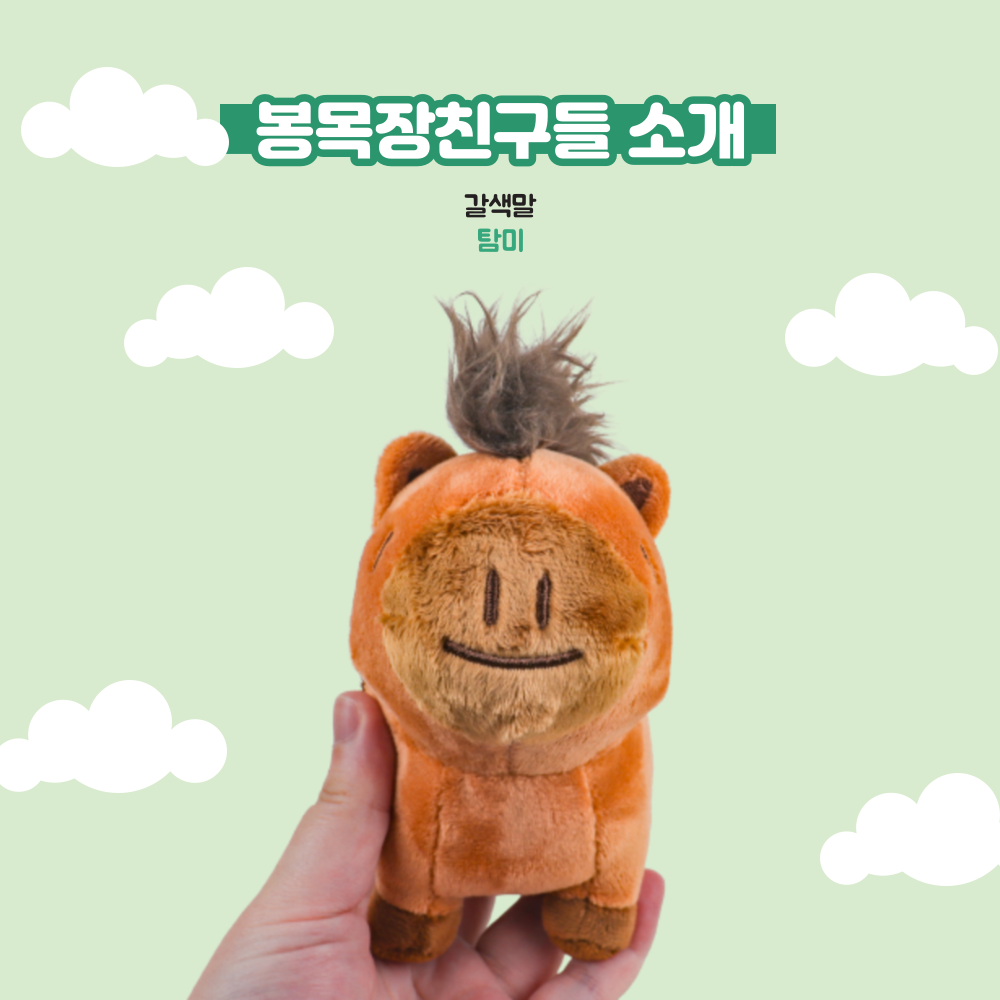 제주도 봉목장친구들 춘식이 춘배 인형 남자아기애착인형 에버랜드굿즈 : 제주 모이소