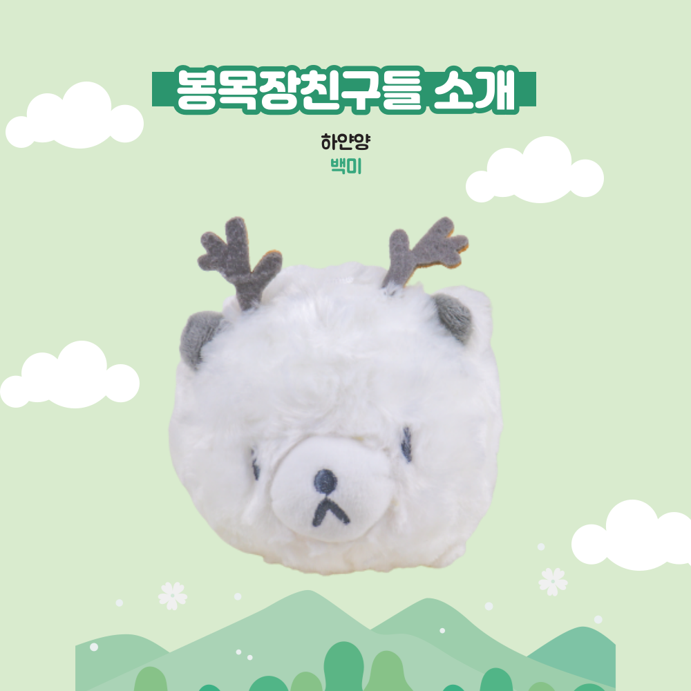 제주도 봉목장친구들 춘식이 춘배 인형 남자아기애착인형 에버랜드굿즈 : 제주 모이소