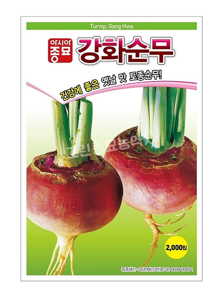 순무 토종순무 종자 무우 씨 아시아종묘 강화순무 2000립 김장 김치 씨앗 텃밭 모종 : 허수아비정원