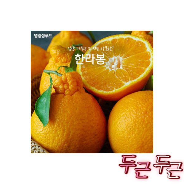명광성푸드 날마다과일나라 한라봉 : 유대소리