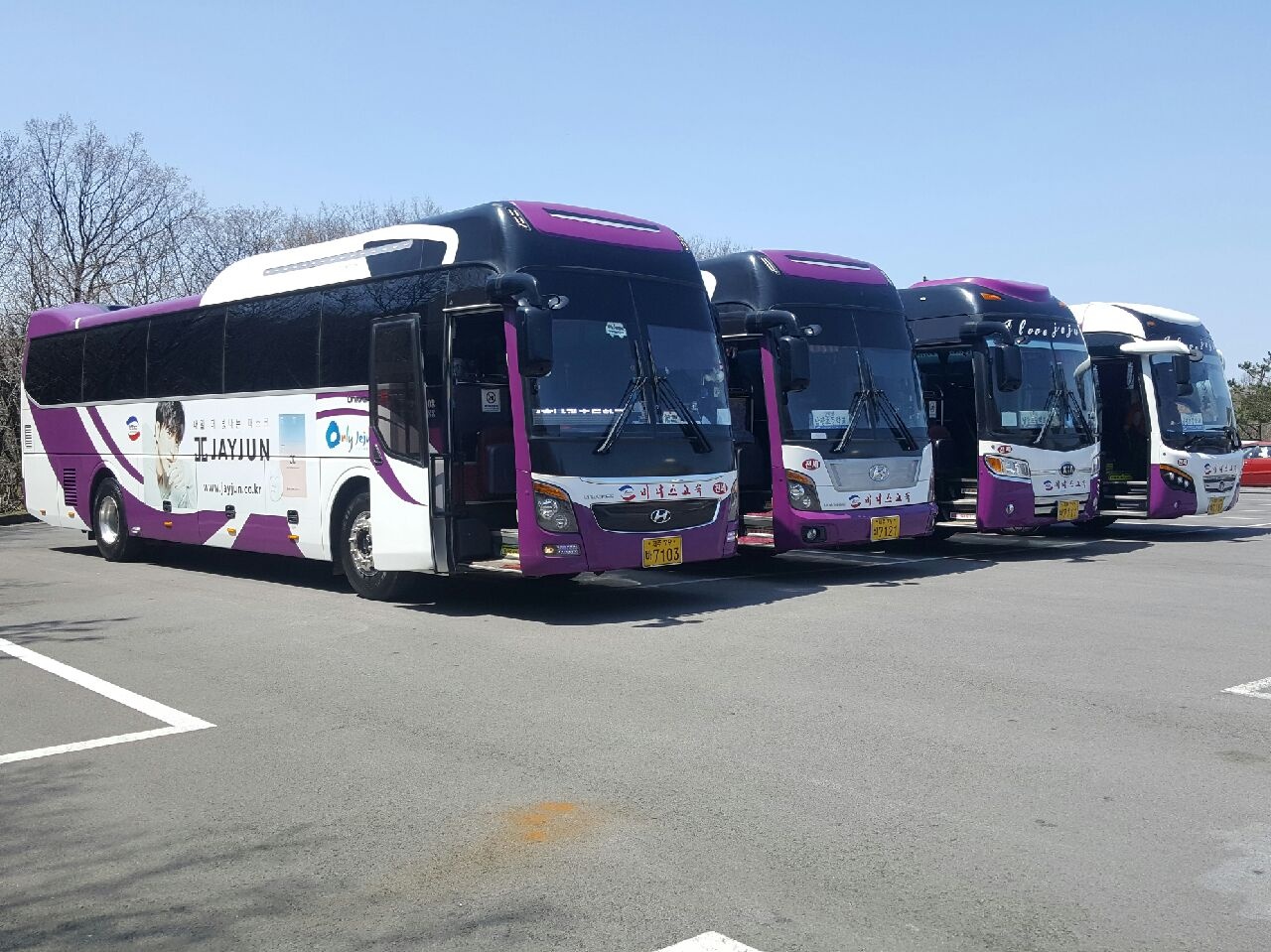 제주도 버스대절 동창회 친목여행 골프투어 가족여행 : 주식회사 다다관광