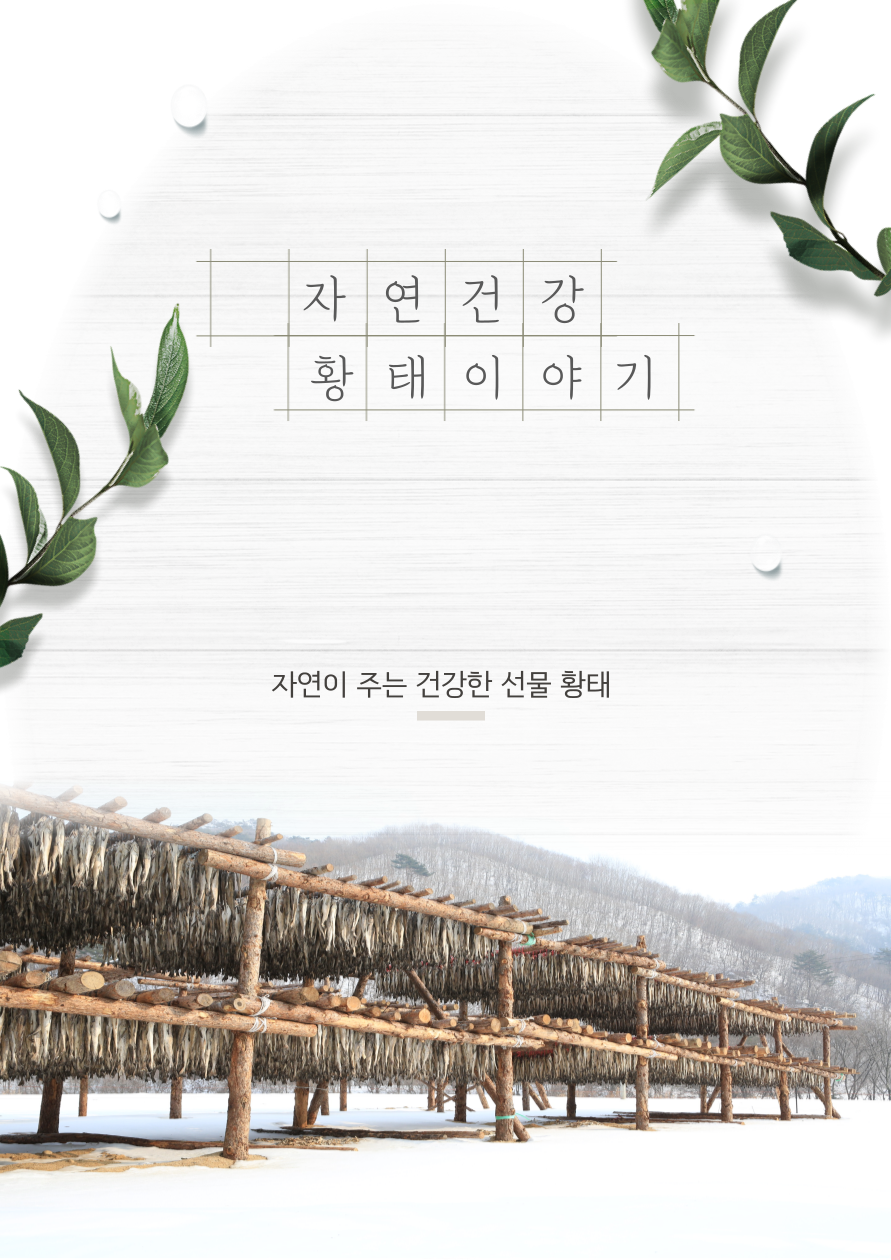 자연건강 황태진액 60포 : 자연건강 이야기